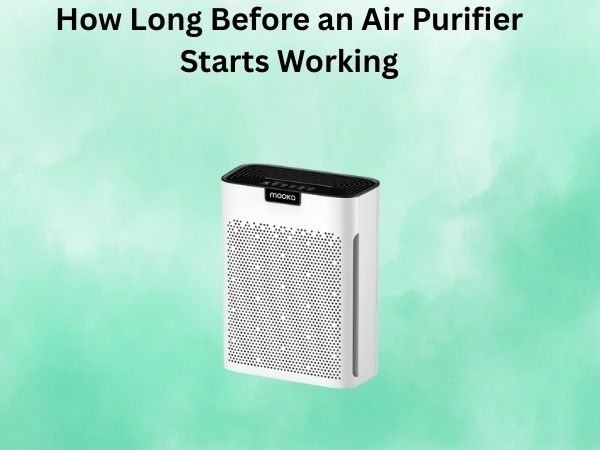 How Long Before an Air Purifier Starts Working