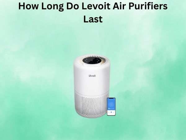 How Long Do Levoit Air Purifiers Last