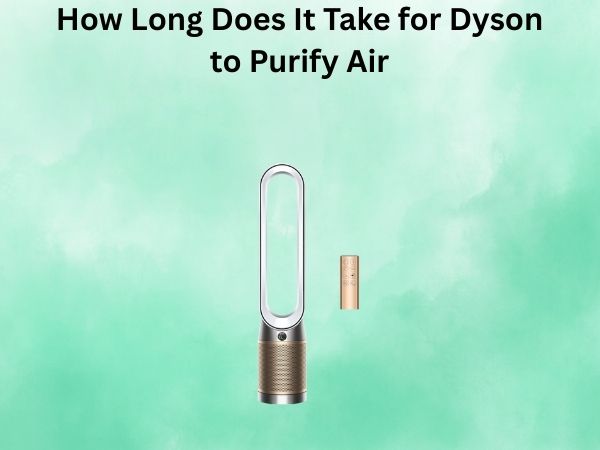 How Long Does It Take for Dyson to Purify Air