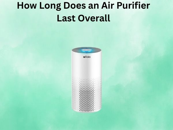 How Long Does an Air Purifier Last Overall