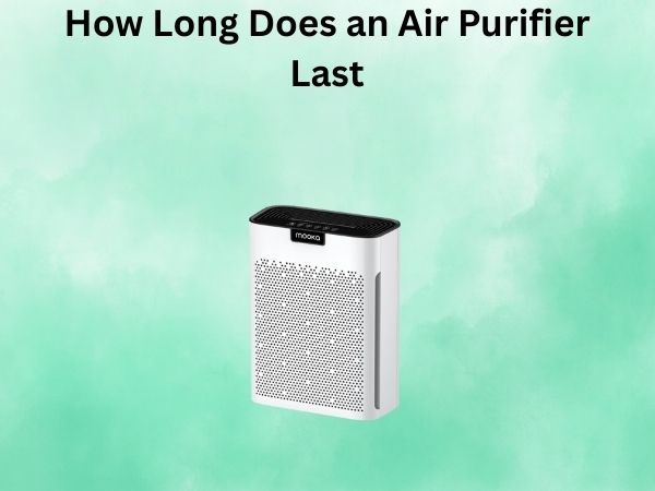 How Long Does an Air Purifier Last