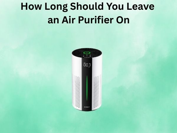 How Long Should You Leave an Air Purifier On