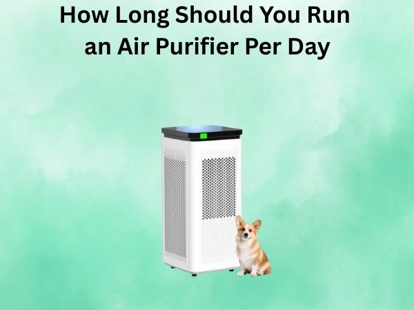How Long Should You Run an Air Purifier Per Day