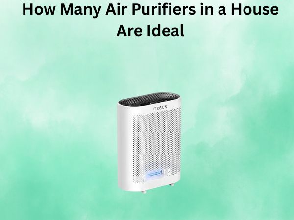 How Many Air Purifiers in a House Are Ideal