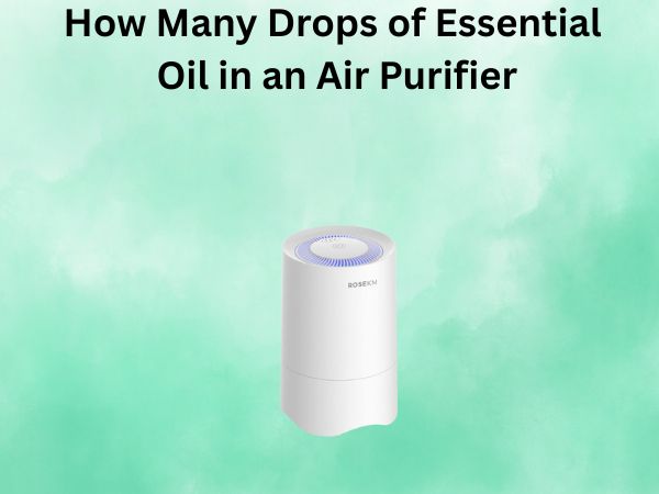 How Many Drops of Essential Oil in an Air Purifier