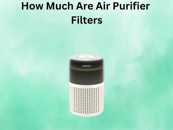 How Much Are Air Purifier Filters