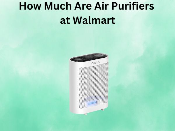 How Much Are Air Purifiers at Walmart