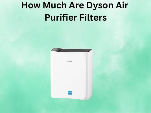 How Much Are Dyson Air Purifier Filters