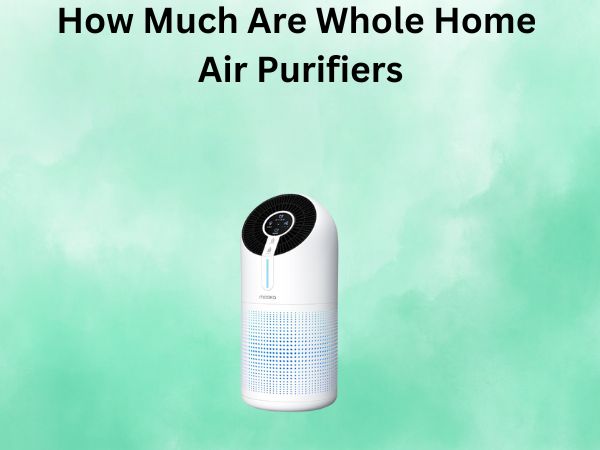 How Much Are Whole Home Air Purifiers