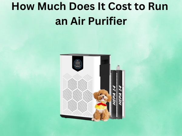 How Much Does It Cost to Run an Air Purifier