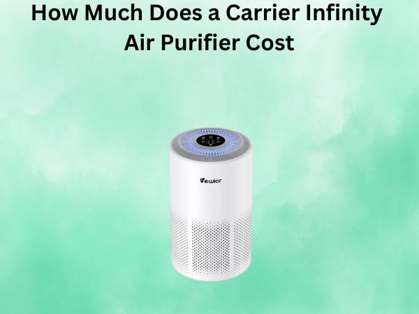 How Much Does a Carrier Infinity Air Purifier Cost