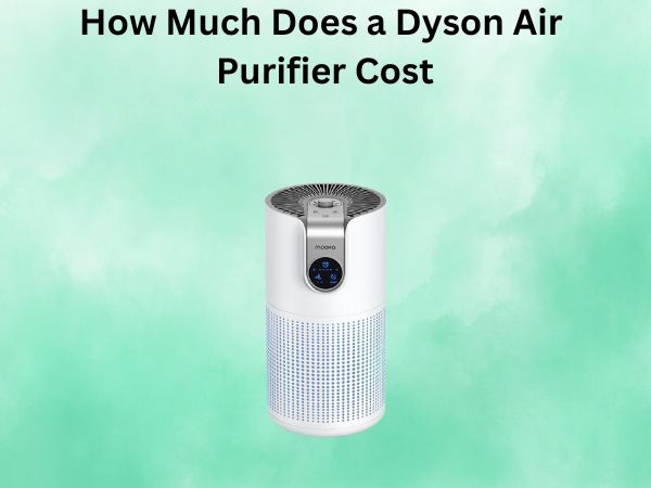 How Much Does a Dyson Air Purifier Cost