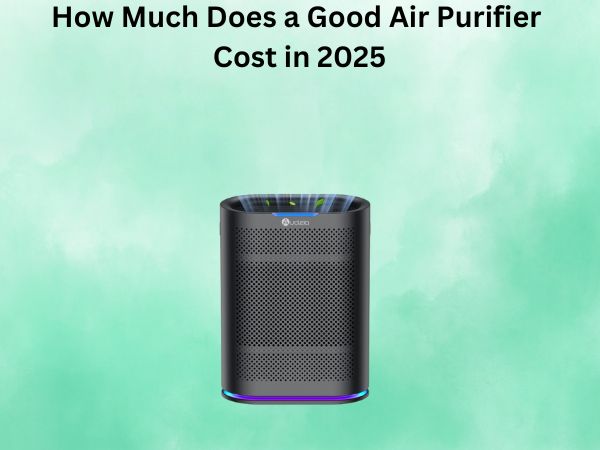 How Much Does a Good Air Purifier Cost in 2025
