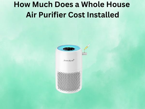 How Much Does a Whole House Air Purifier Cost Installed