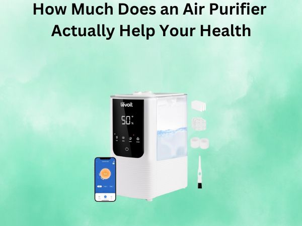 How Much Does an Air Purifier Actually Help Your Health