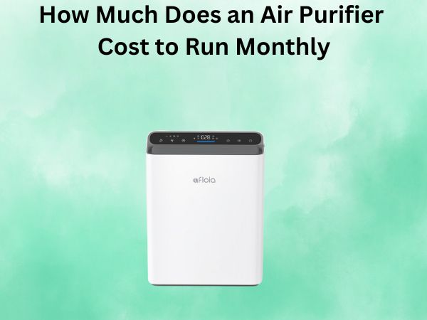 How Much Does an Air Purifier Cost to Run Monthly