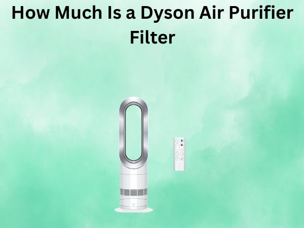 How Much Is a Dyson Air Purifier Filter