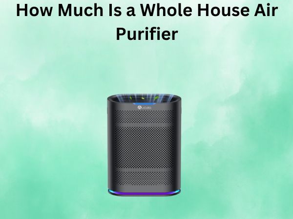 How Much Is a Whole House Air Purifier