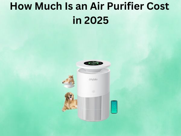 How Much Is an Air Purifier Cost in 2025