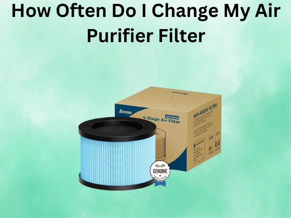 How Often Do I Change My Air Purifier Filter