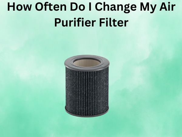 How Often Do I Change My Air Purifier Filter