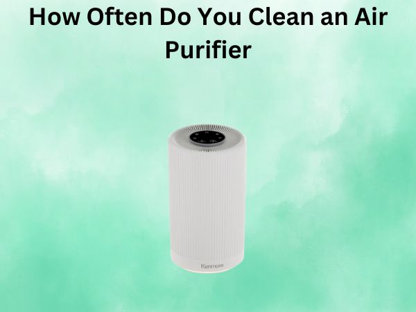 How Often Do You Clean an Air Purifier