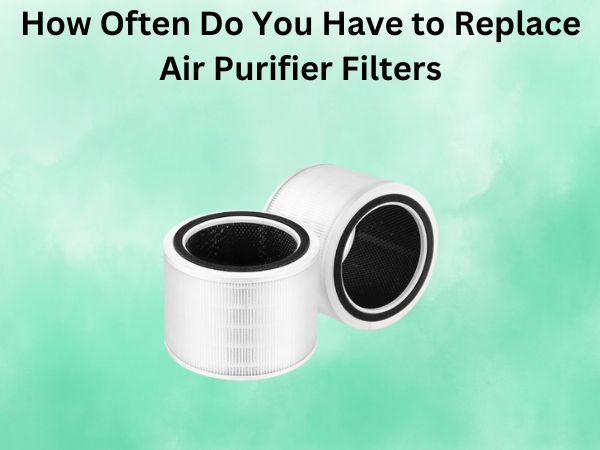 How Often Do You Have to Replace Air Purifier Filters