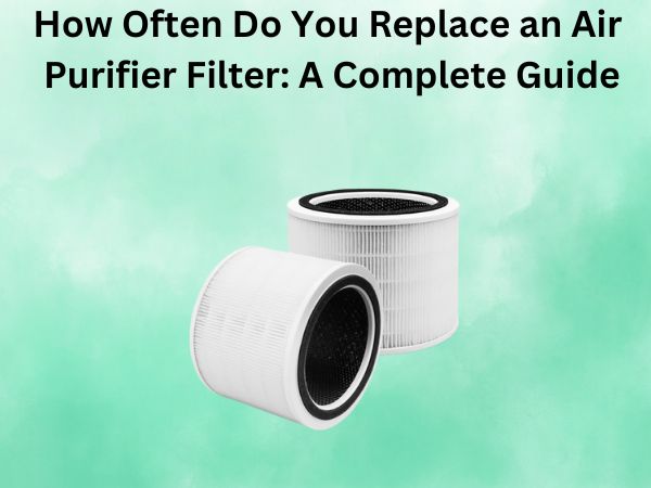 How Often Do You Replace an Air Purifier Filter: A Complete Guide