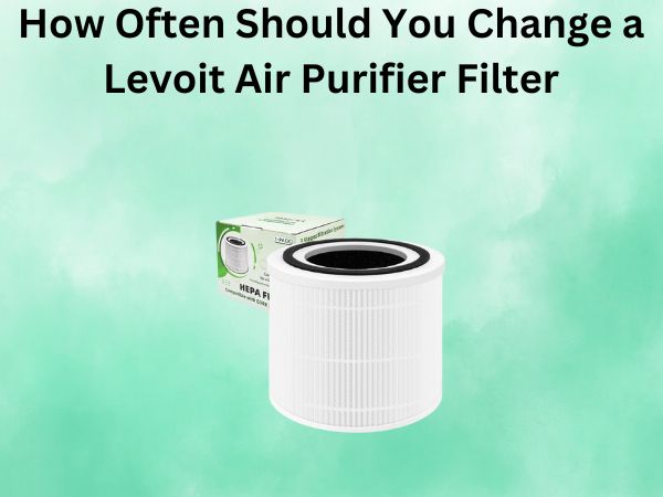How Often Should You Change a Levoit Air Purifier Filter