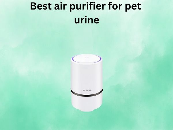 Best air purifier for pet urine