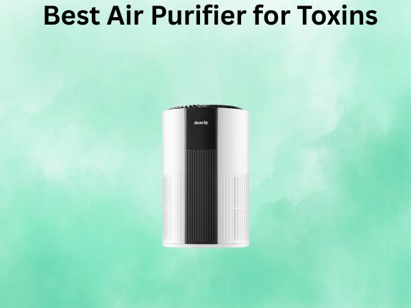 Best Air Purifier for Toxins