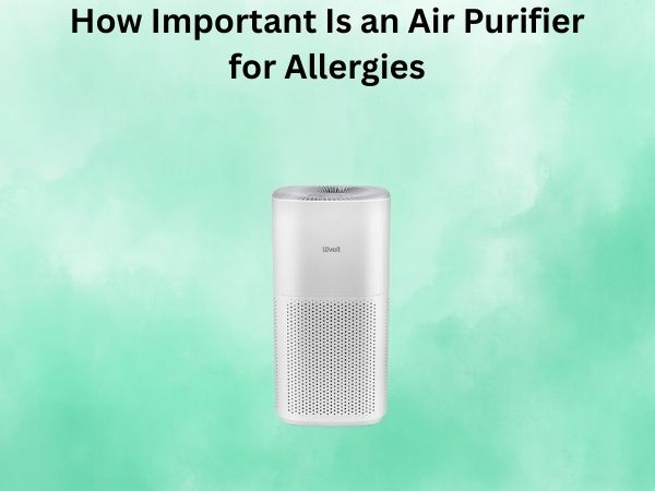 How Important Is an Air Purifier for Allergies