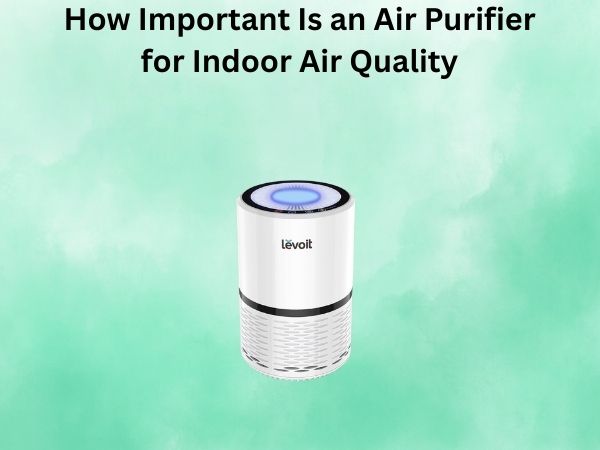 How Important Is an Air Purifier for Indoor Air Quality