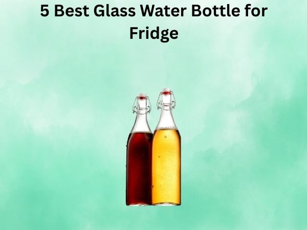 5 Best Glass Water Bottle for Fridge