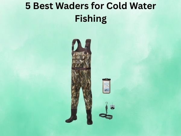 5 Best Waders for Cold Water Fishing