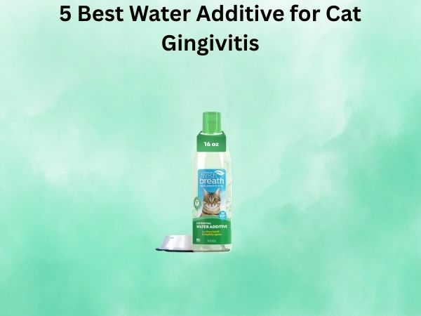 5 Best Water Additive for Cat Gingivitis