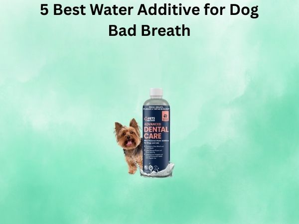 5 Best Water Additive for Dog Bad Breath