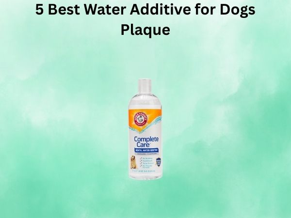 5 Best Water Additive for Dogs Plaque