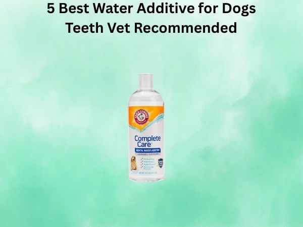 5 Best Water Additive for Dogs Teeth Vet Recommended