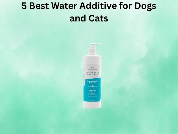 5 Best Water Additive for Dogs and Cats