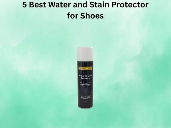 5 Best Water and Stain Protector for Shoes