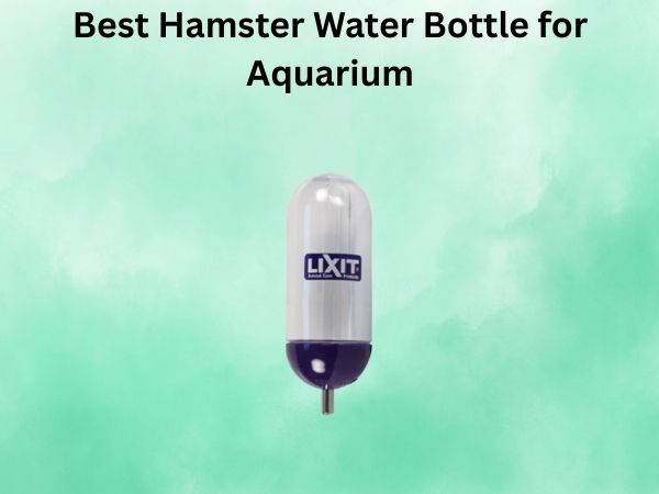 Best Hamster Water Bottle for Aquarium