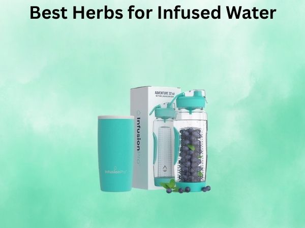 Best Herbs for Infused Water