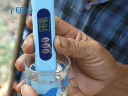 How to Check Salinity of Water