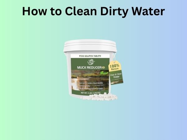 How to Clean Dirty Water