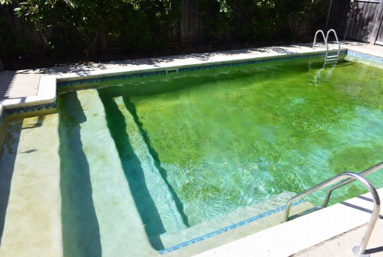 How to Clean Pool Green Water