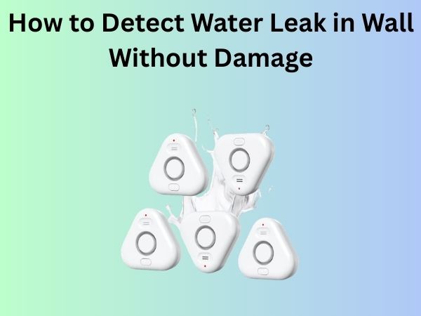 How to Detect Water Leak in Wall Without Damage