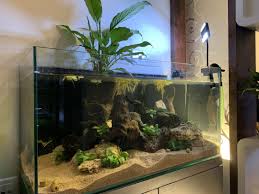 How to Do a Water Change Aquarium the Right Way