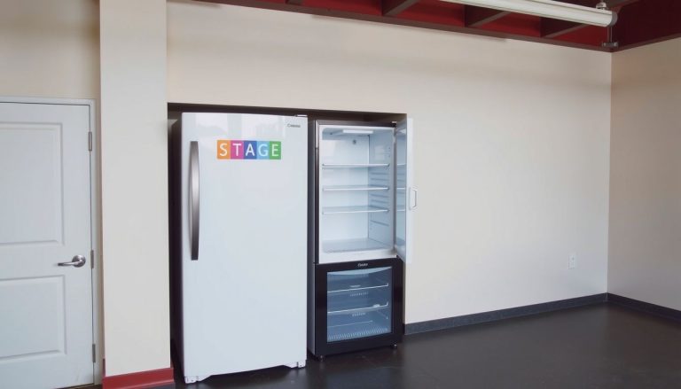 best inexpensive refrigerator for garage