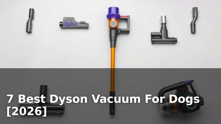 7 Best Dyson Vacuum For Dogs [2026]